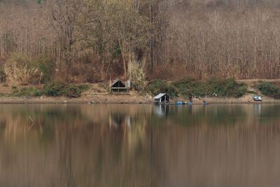 Reflection of trees in calm lake
