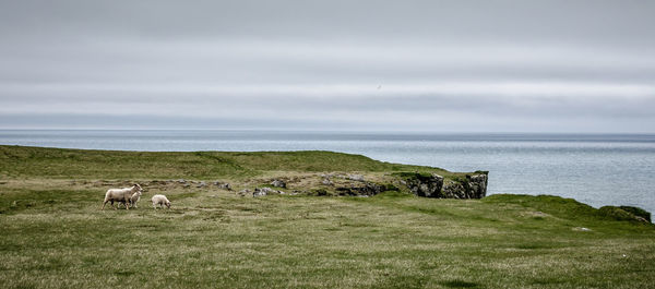 Scenic view of sea against cloudy sky