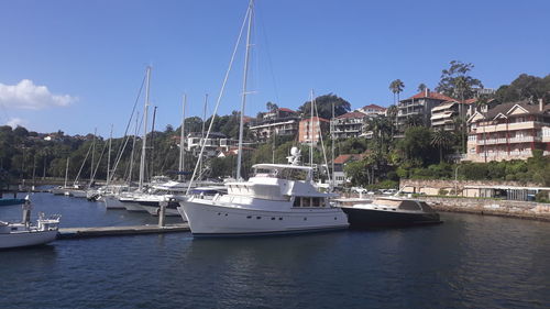 Sailboats moored in harbor