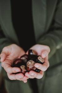 Midsection of woman holding chestnuts