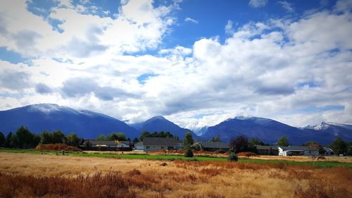 Scenic view of field against sky