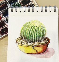 High angle view of succulent plant on table