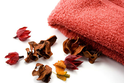 Close-up of food on white background