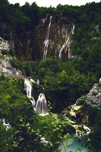 Scenic view of waterfall in forest