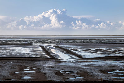 The wadden sea at low tide, a large shapely cloud hangs over the wet shiny silt