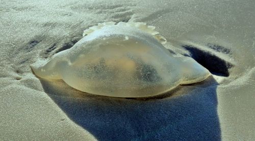 Close-up of water