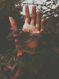 human hand