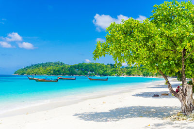 Scenic view of beach against sky