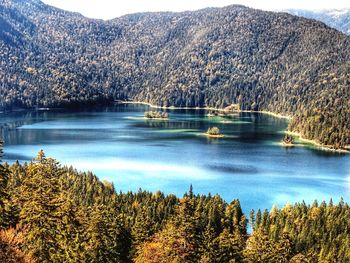 Scenic view of lake in forest against sky