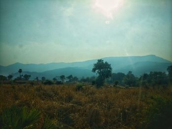 Scenic view of landscape against sky