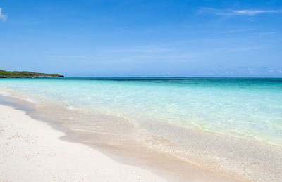 Scenic view of beach against blue sky