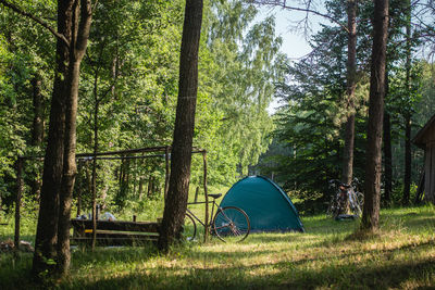 Tent in forest against sky