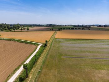 Scenic view of agricultural field against sky