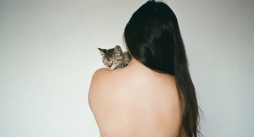 Rear view of woman with cat against white background