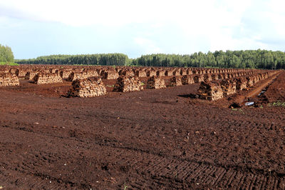 Stack of hay on field against sky