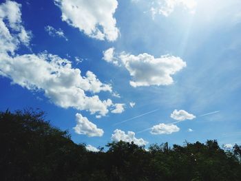 Low angle view of trees against blue sky on sunny day