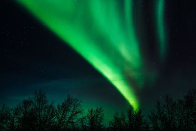 Low angle view of aurora polaris at night