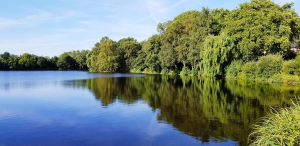 Scenic view of lake in forest against sky