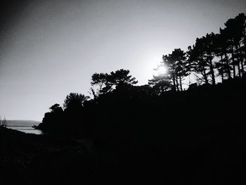 Silhouette trees against clear sky