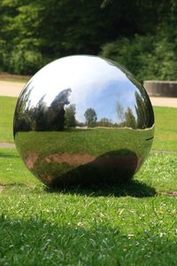 Trees on grassy field