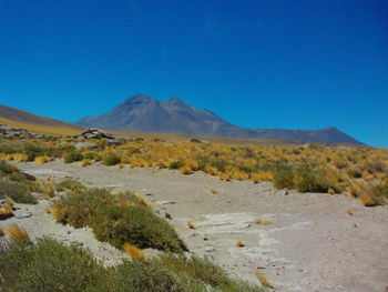 Scenic view of mountains against clear blue sky