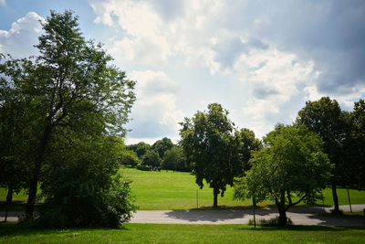 Trees in park against sky