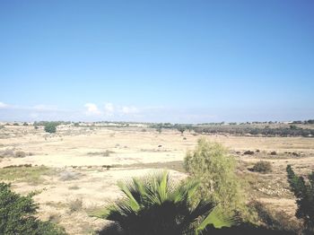 Scenic view of beach against clear blue sky