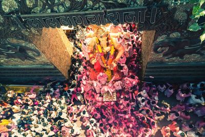 High angle view of various flowers on display