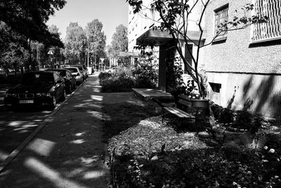 Street amidst trees and buildings in city