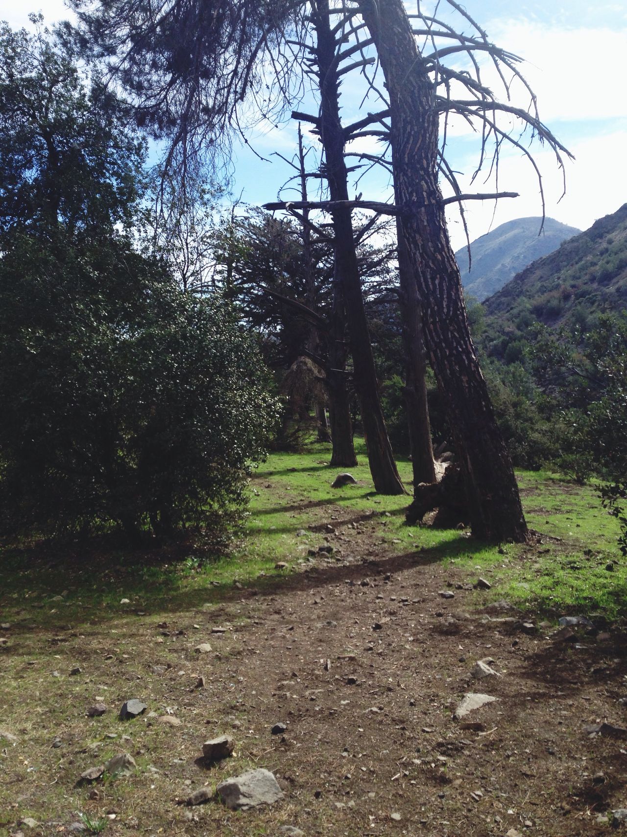 Parque Natural Aguas de Ramón