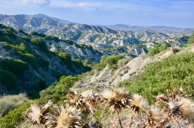 Scenic view of landscape and mountains against sky