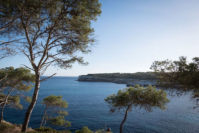 Scenic view of sea and trees against clear sky