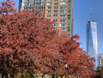 Buildings in city