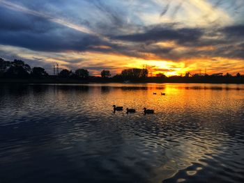 Silhouette swans swimming in lake against sky during sunset