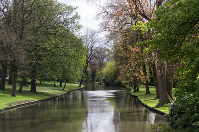 Scenic view of park by lake