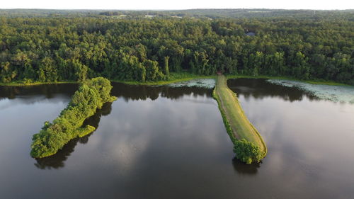 Bird eye view of lake and forest against sky