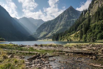 Driftwoods in lake against mountains