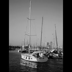 Boats moored at harbor