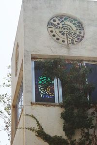 Low angle view of potted plants on building