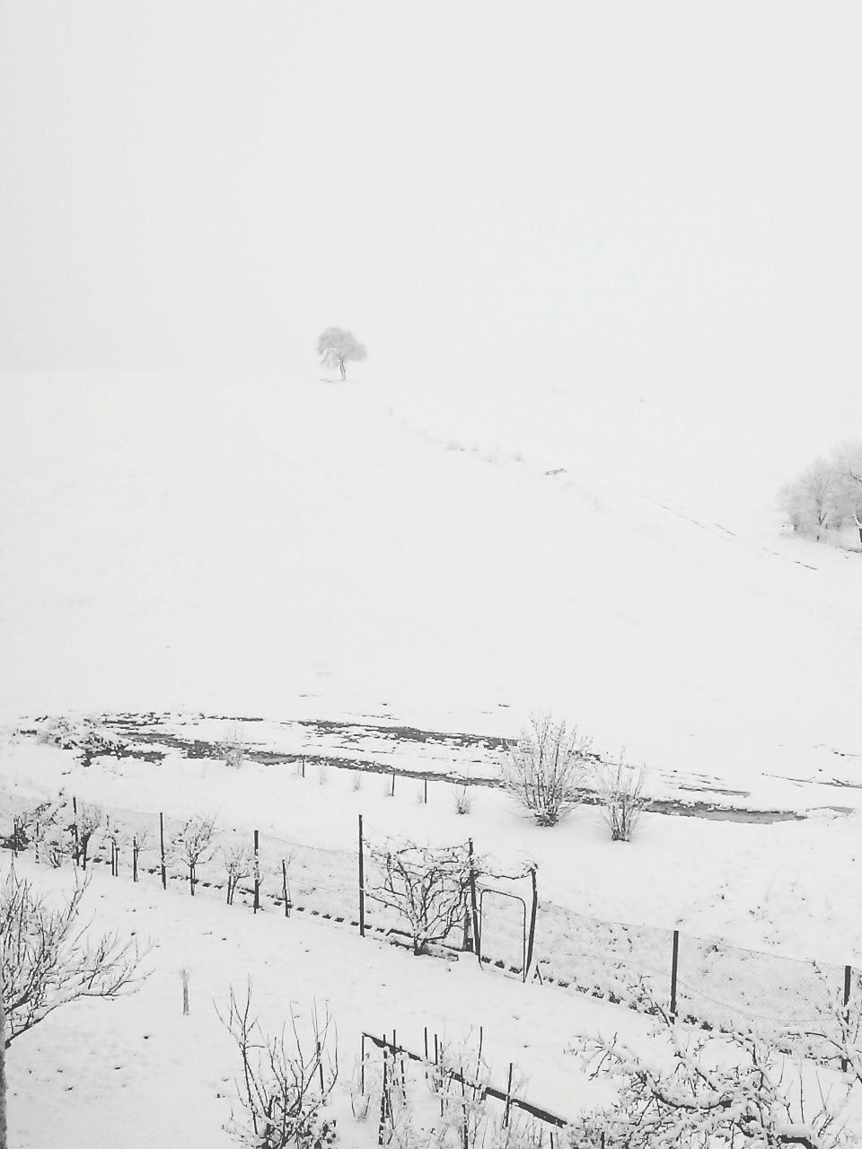 snow, winter, cold temperature, weather, season, field, clear sky, landscape, covering, copy space, nature, tranquility, white color, fence, tranquil scene, day, frozen, outdoors, beauty in nature, no people