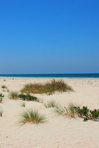 Scenic view of beach against blue sky