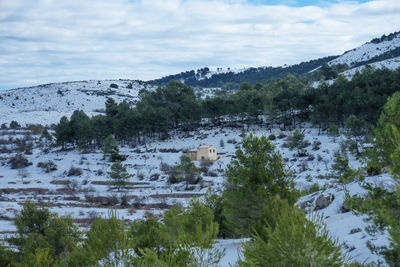 Scenic view of trees by mountains against sky