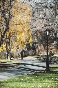 Street amidst trees in park during autumn