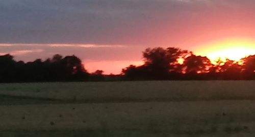 Silhouette trees on field against sky during sunset