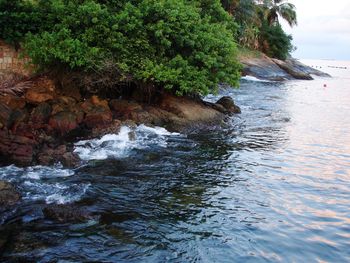 Scenic view of sea