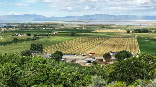 Scenic view of agricultural field