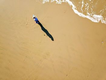 High angle view of crab on beach