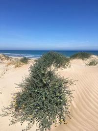 Scenic view of sea against clear blue sky