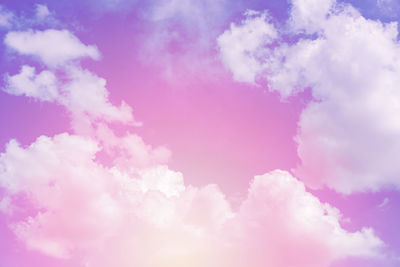 Low angle view of pink flowering against blue sky