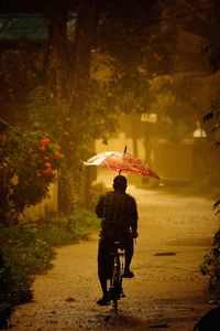 Man riding bicycle on footpath during rainy season
